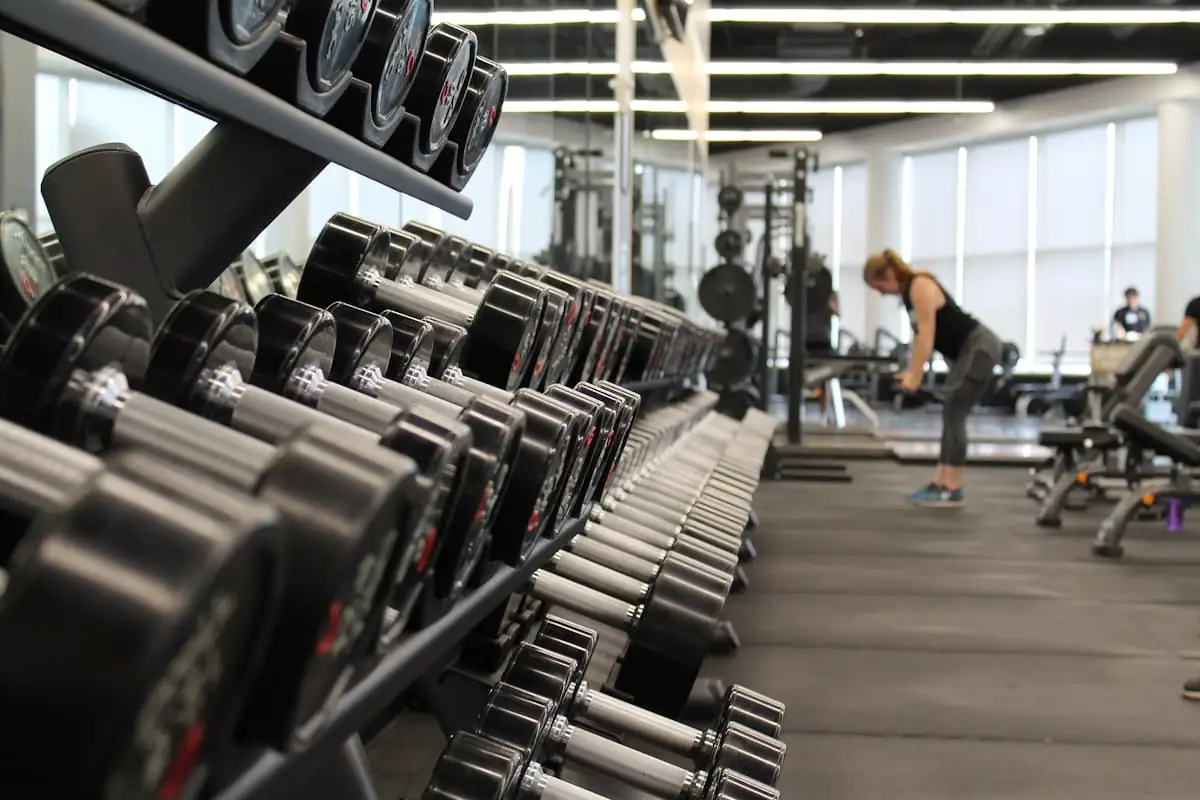 Fitnesz